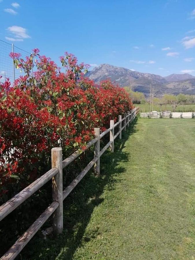 L'Airone Country House Ξενοδοχείο SantʼElia Fiumerapido Εξωτερικό φωτογραφία